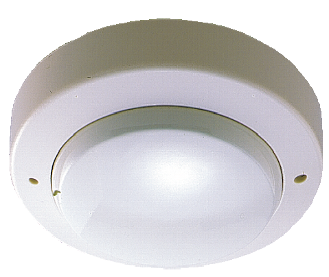 dsc-ea_u_b_o_nhi_t_gia_t_ng_hochikinh_t